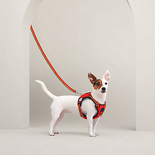 犬用ハーネス 《ジャンプ》 M&L | Hermès - エルメス-公式サイト 犬用ハーネス 《ジャンプ》 M&L | Hermès - エルメス-公式サイト
